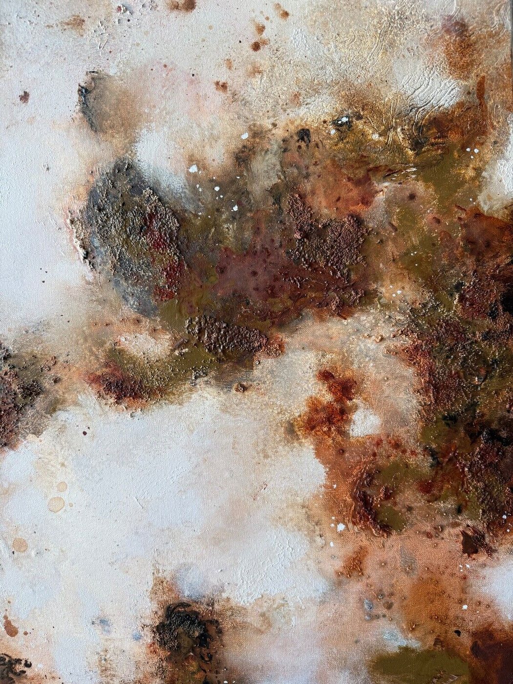 Lichen — texture detail